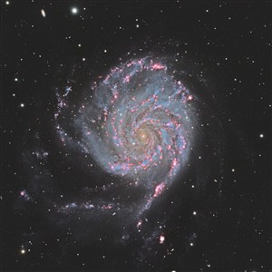 Galaxias